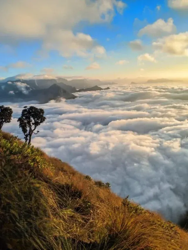 Misty Sunrise over sea of clouds from Nandi Hills Bengaluru