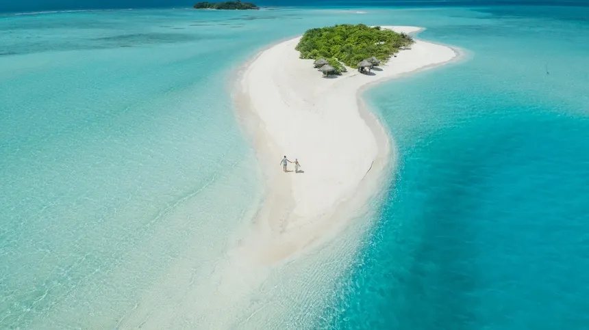 Sandbank Picnic & Dolphin Cruise