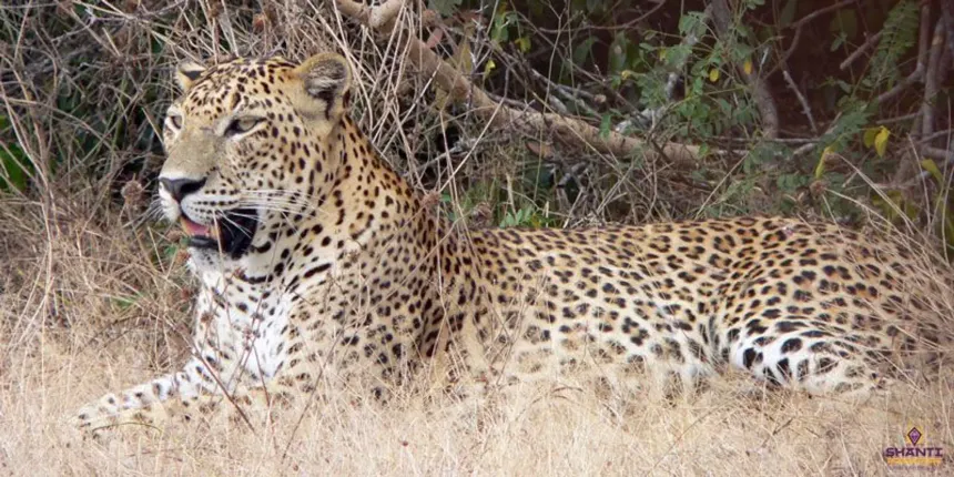 Safari Adventure & Coastal Escape